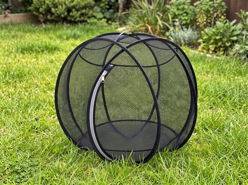 Pop-Up Mesh Tent for Cats & Small Dogs