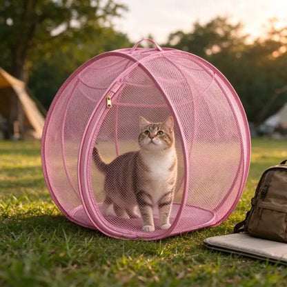 Pink cat tent outdoors